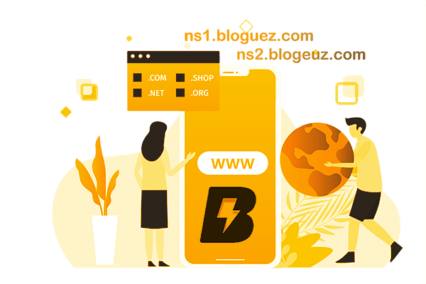 blogeuz domain dns